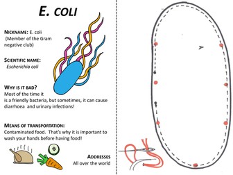 E. Coli: Crafty Critter Pattern