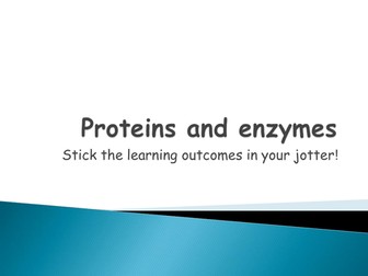 Proteins and Enzymes