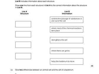 B2 revision notes and exam questions packs