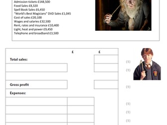 Profit and Loss and Ratios - Harry Potter Examples