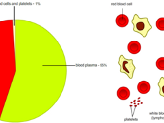 Blood cells