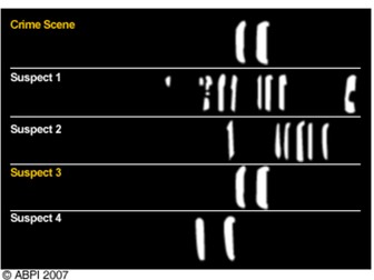 DNA Fingerprinting