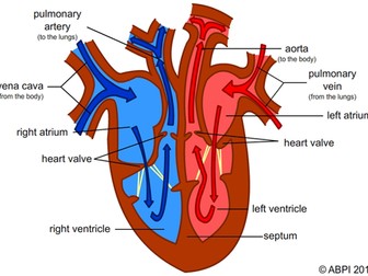 Labelled Heart