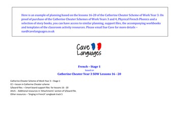 Support resources and planning for French