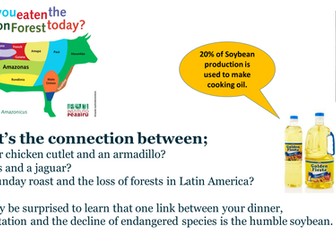 Soybean-Environmental effects of increased demand