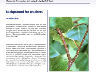 Animal Behaviour: Crawling Caterpillars