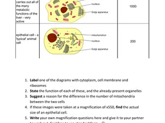 Cell Structure Revision