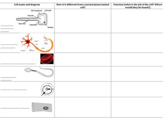 Cells Placemat