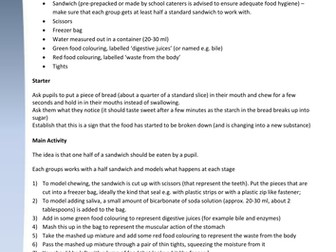 Eating a sandwich - modelling digestion