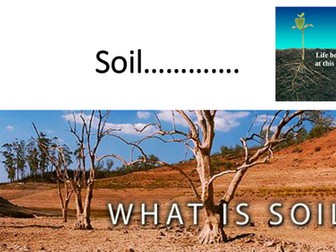 What is soil?