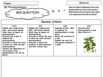 B2 Photosynthesis assessment