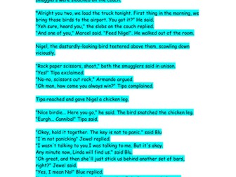 Dramatic Conventions/Playscript Rio Film