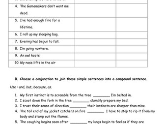 Sentence Types (Hunger Games)