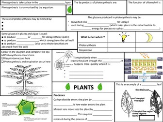Plants revision - AQA GCSE