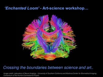 Cross-Curricular Workshop on the Human Body KS2