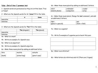 End of Year 7 grammar test - based on Mira 1