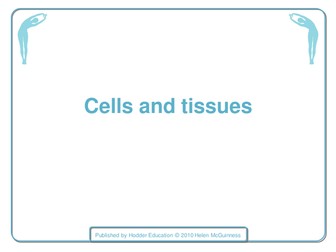 The structure of a cell sample lesson