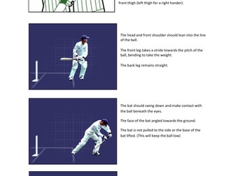 Cricket Batting Practice onto Modified Game