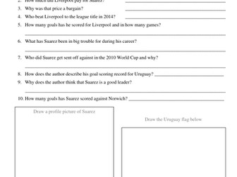 Differentiated Reading Comprehension Year 2-4