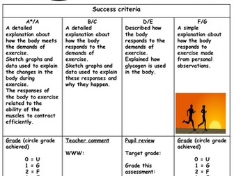 B2 the effect of exercise on the body