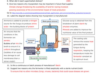 Mycoprotein webquest