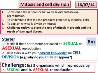 Mitosis and cell division