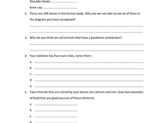 Active body worksheet