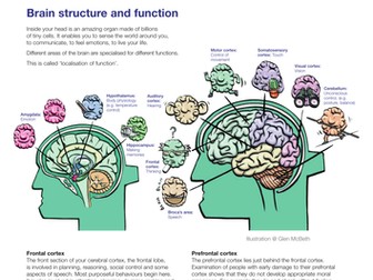 Are you responsible? biological psychology lesson