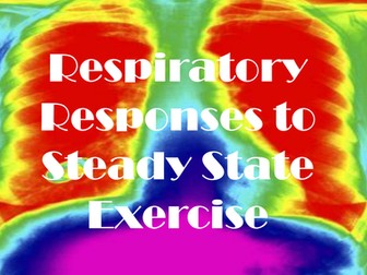 Respiratory Systems Response to Steady State
