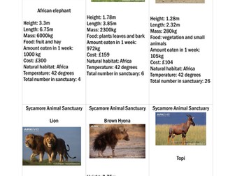Place value animal investigation with questions