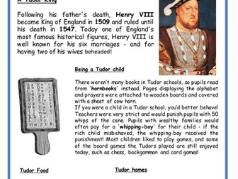 Basic tudor fact files (3 levels)