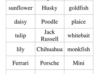 Specific nouns sorting activity