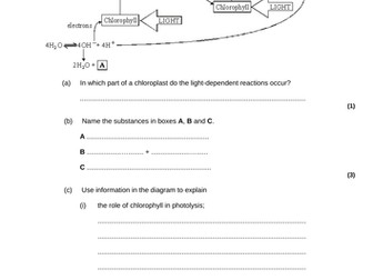 AQA 3.2 The light-dependent reaction