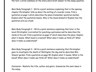 The Curious Incident: essay guide