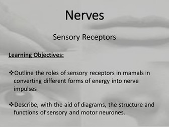 Introduction to Sensory receptors ORC A2 Biology