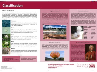 Classification Poster