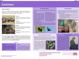 Evolution Poster