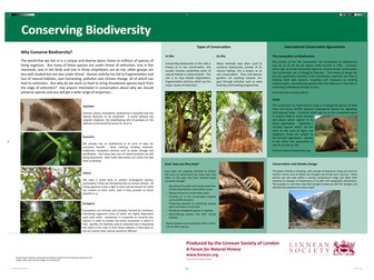 Conservation Poster