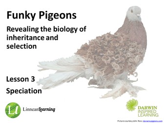 Funky Pigeons - Darwin Inspired Learning