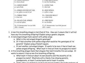 Dragon Genetics