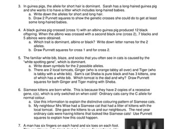 Genetics of  Dogs, Cats, Guinea Pigs, and Humans