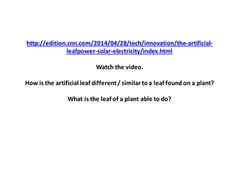 Leaf and adaptation for photosynthesis