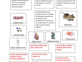 Levels of organisation