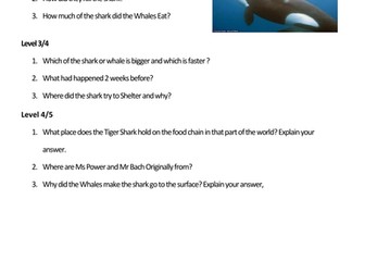 Reading compreh. Killer Whales eat a tiger shark
