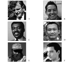 Formation of Relationships Theories Lessons