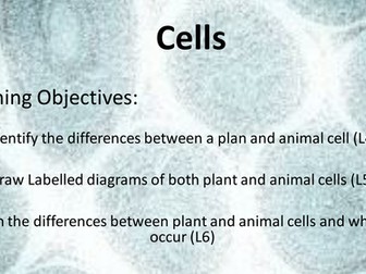 Introduction to KS3 cells