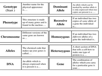 Genetics Terms Loop Cards