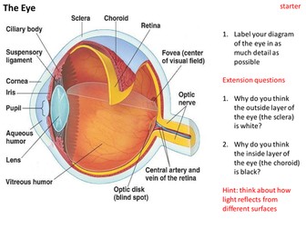 Structure and functions of the eye
