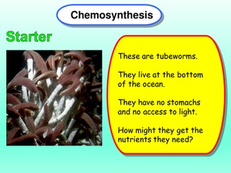 Chemosynthesis