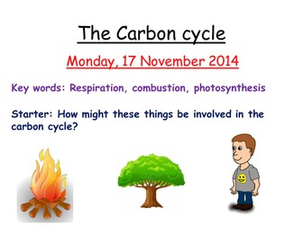 Carbon cycle